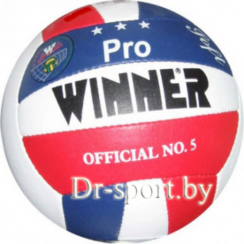 Мяч волейбольный Winner Pro Colorued